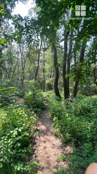 Pozemok 5862 m2 - lesnatý porast Košice - Vyšné Opátske