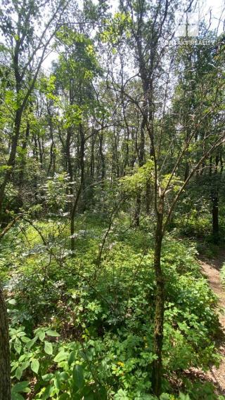 Pozemok 5862 m2 - lesnatý porast Košice - Vyšné Opátske