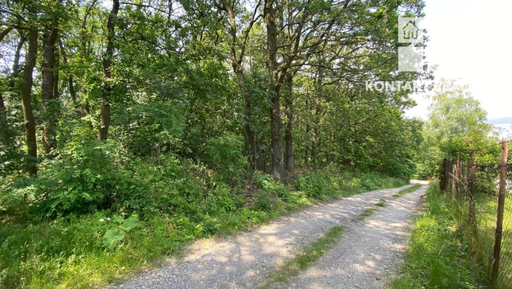 Pozemok 5862 m2 - lesnatý porast Košice - Vyšné Opátske