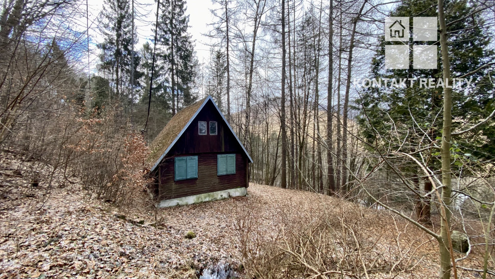 Chata / pozemok v lese, lokalita Košická Belá - Ružín smer Opátka