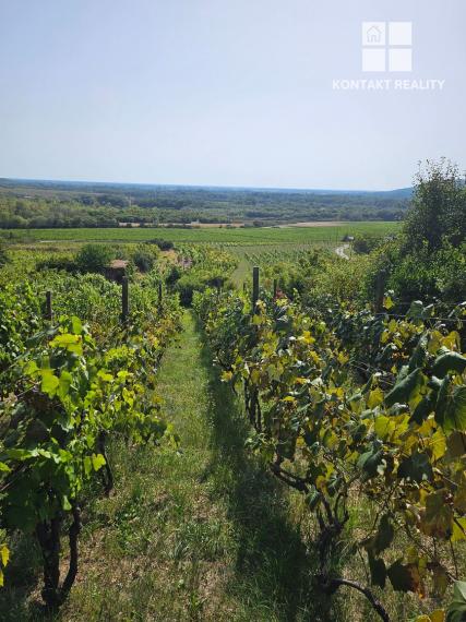 Dve vinice v srdci Tokajskej oblasti – obec Viničky