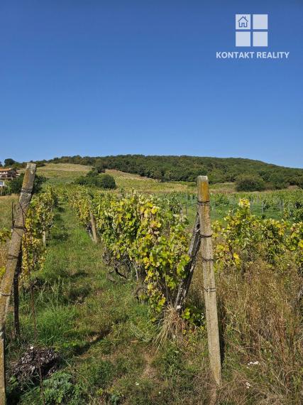 Dve vinice v srdci Tokajskej oblasti – obec Viničky