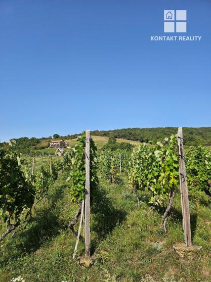 Dve vinice v srdci Tokajskej oblasti – obec Viničky