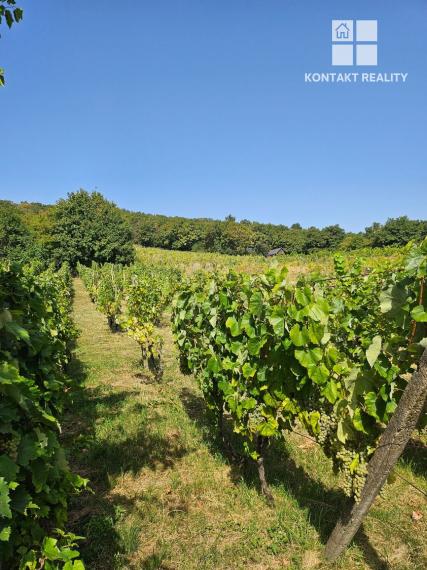 Dve vinice v srdci Tokajskej oblasti – obec Viničky