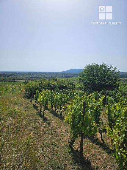 Dve vinice v srdci Tokajskej oblasti – obec Viničky