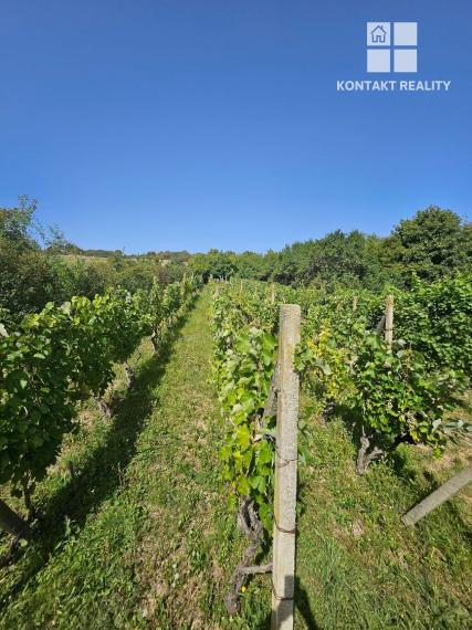 Dve vinice v srdci Tokajskej oblasti – obec Viničky