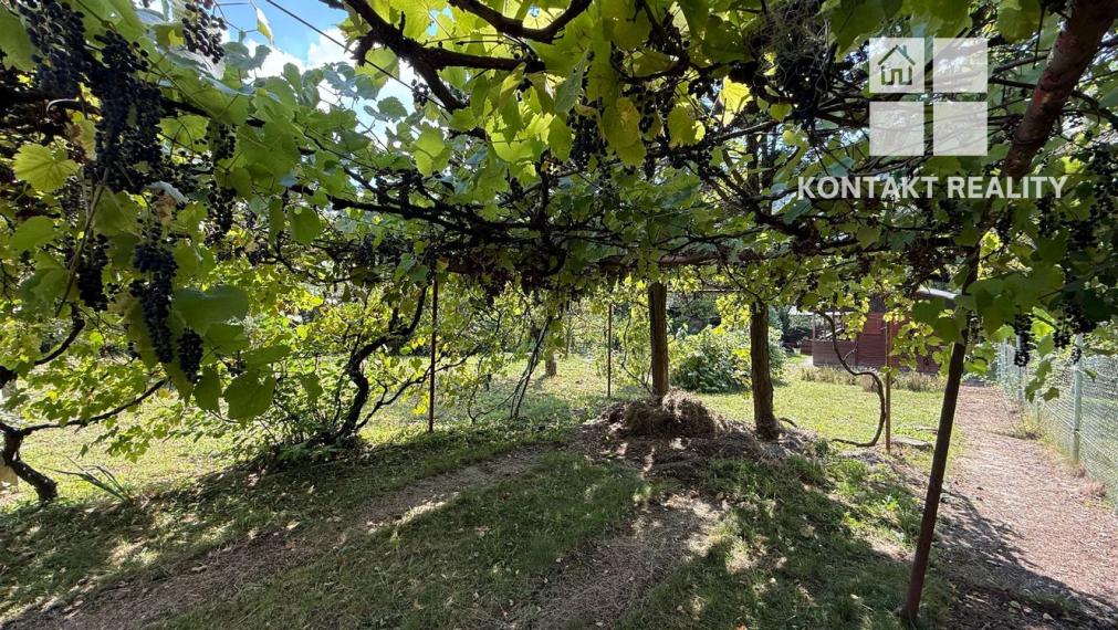 Drevená chata a záhrada, Ťahanovce ul. Brusnicová, blízko mesta