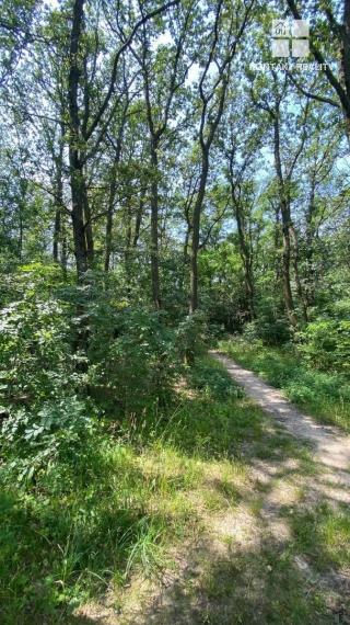 Pozemok 5862 m2 - lesnatý porast Košice - Vyšné Opátske