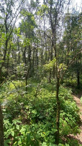 Pozemok 5862 m2 - lesnatý porast Košice - Vyšné Opátske