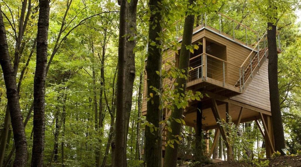 Pozemok 5862 m2 - lesnatý porast Košice - Vyšné Opátske