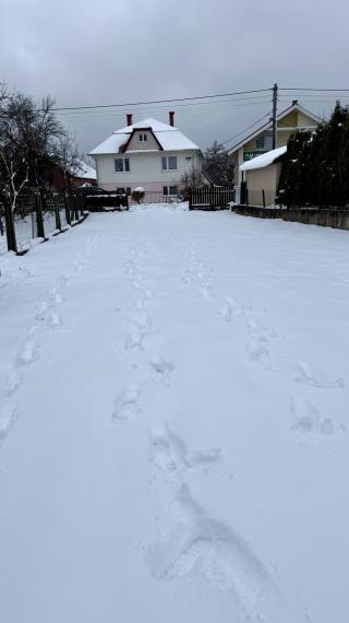 Pozemok pre rodinné domy 435 m2 Družstevná pri Hornáde