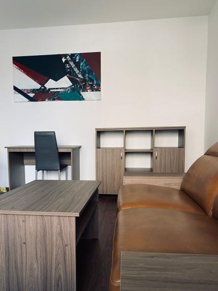 1,5 izb. byt pri OC Aupark, ul. Palárikova