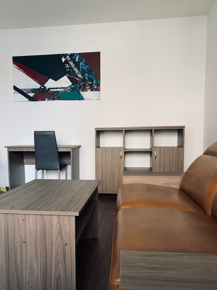 1,5 izb. byt pri OC Aupark, ul. Palárikova, Centrum