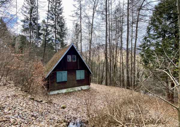 Chata / pozemok v lese, lokalita Košická Belá - Ružín smer Opátka