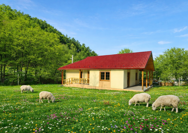 Chalúpka - chata - domček 35km od Košíc, Maďarsko obec Pányok