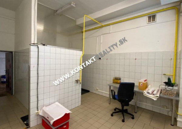 Kuchyňa, menší výrobný priestor 38 m2,ul. Rastislavova, Juh