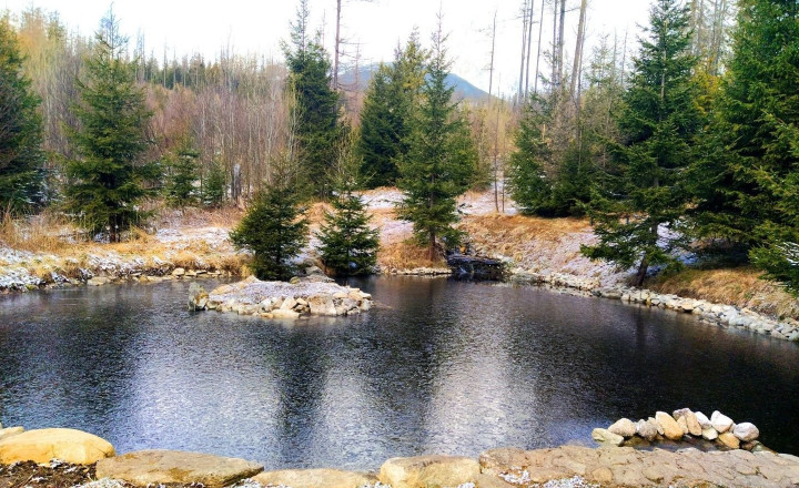 Na prenájom 4 izb. byt o výmere 103m2, Vysoké Tatry - Vyšné Hágy - fotografia 12