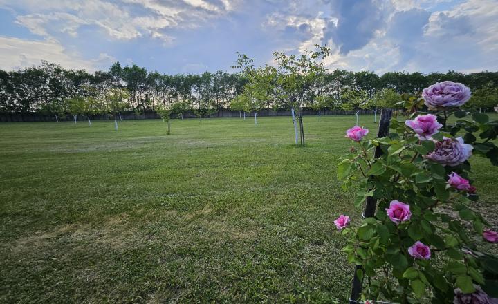 Rozsiahly pozemok s jazerom, rybníkom, stavbami a investičným potenciálom – 16 028 m² - fotografia 10